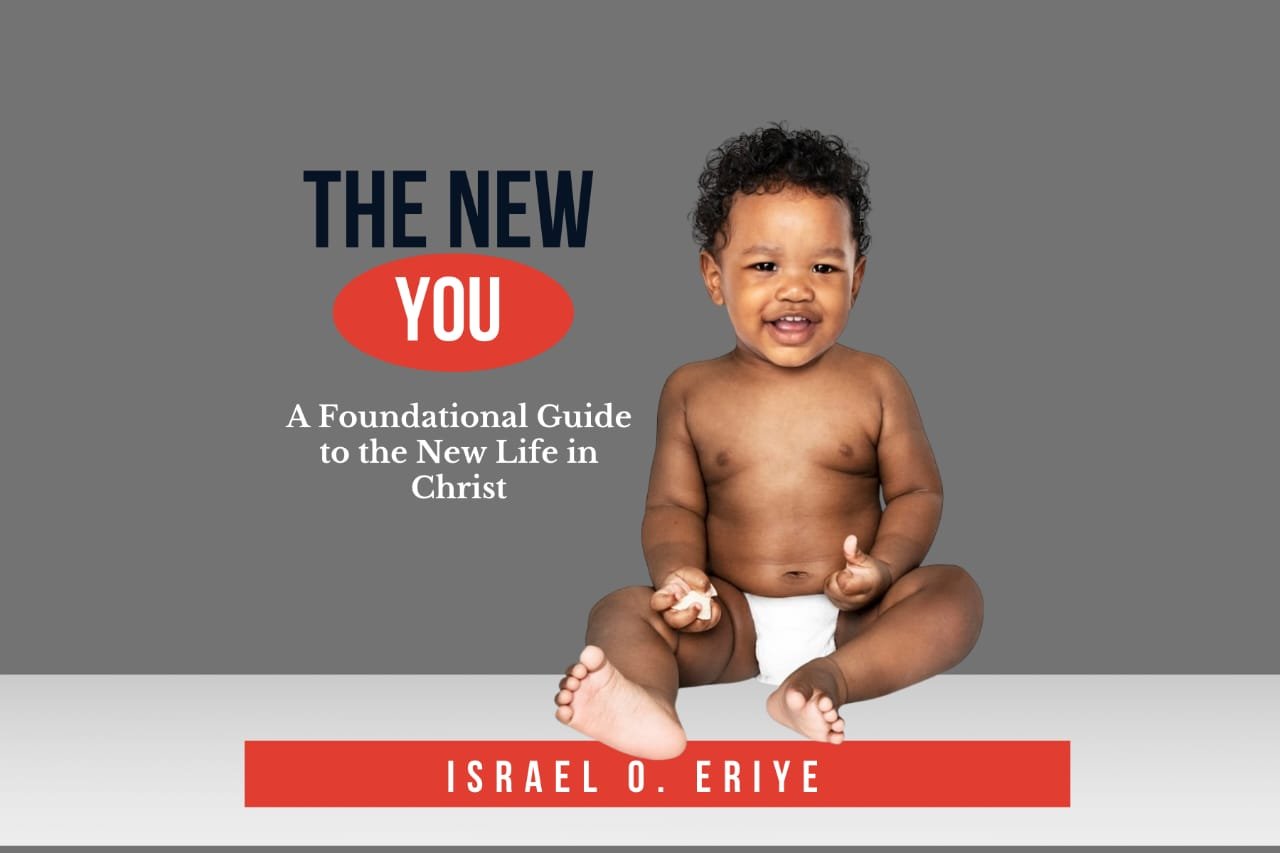 The New You Book Cover