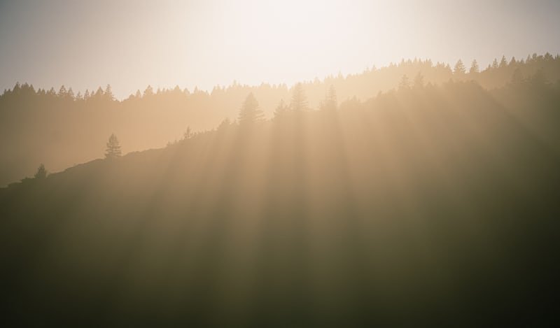 FAITH'S PROCLAMATION FOR TODAY (3RD APRIL, 2026